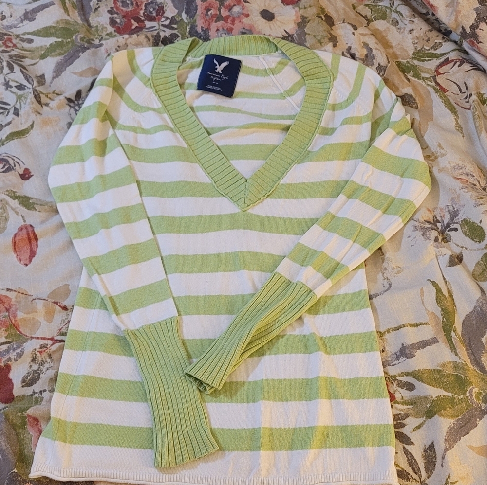 American Eagle Outfitters Green and White Striped Sweater